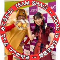 イーブイ🦊 (@eevee_shachi) 's Twitter Profile