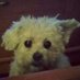 EstherUr (@estherizu1956) Twitter profile photo EstherUr (@estherizu1956) Twitter profile photo