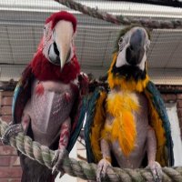 RFPS (@rfps40216) 's Twitter Profile Photo RFPS (@rfps40216) 's Twitter Profile Photo