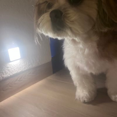 fckdnfers's profile picture. huh