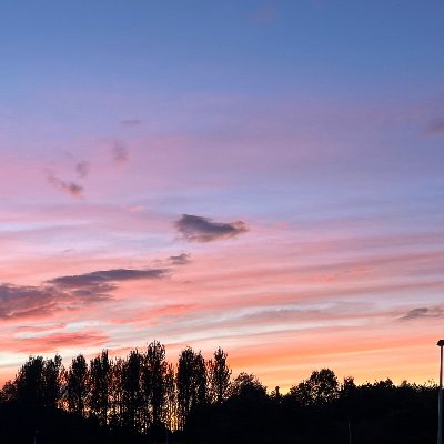 KaneLacie18134's profile picture. 