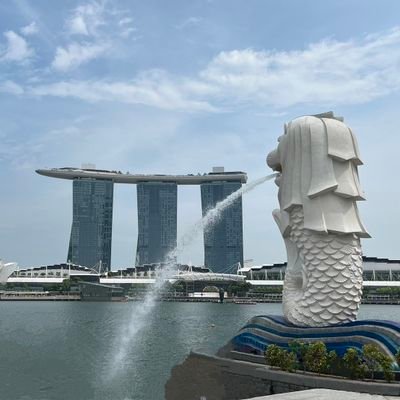 gaml_63JP's profile picture. 日本株専業04年〜
旅行が大好きだけど、飛行機乗ったところが楽しいのピーク✈️✈️
地上より機上のが良い食事😂

ANA*DIAとJAL平会員、Marriottチタン
最近、JALに惚れつつある