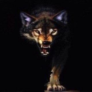 Alsami07's profile picture. 