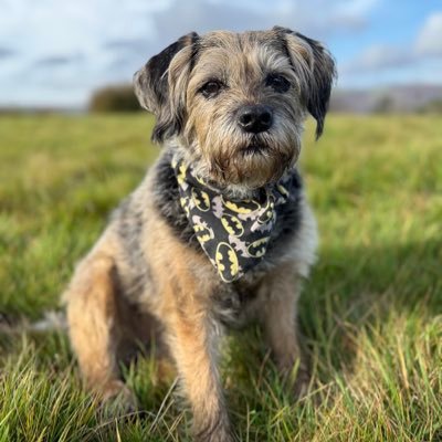 Love a frisbee, love a chip - 10yr old BT living in the Diff with sis Seren. V proud member of the #BTPosse 🍞🐿🍞 tobi_lerone_ig 🦋 @tobilerone.bskyb.social