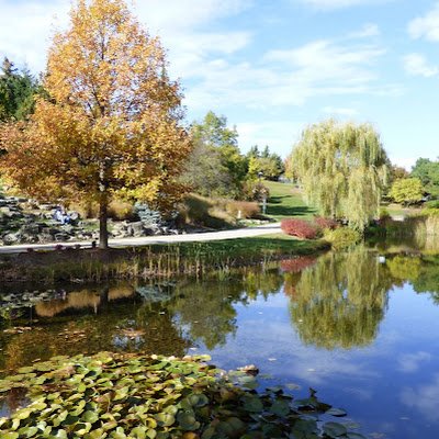 lgtech6719's profile picture. 