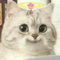 no; (@love98u) 's Twitter Profile Photo no; (@love98u) 's Twitter Profile Photo