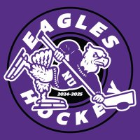 New Ulm Boys Hockey (@nuhsboyshockey) 's Twitter Profile