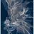 jenniff95297316's profile image