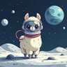 SpaceAlpaca11's profile picture. 