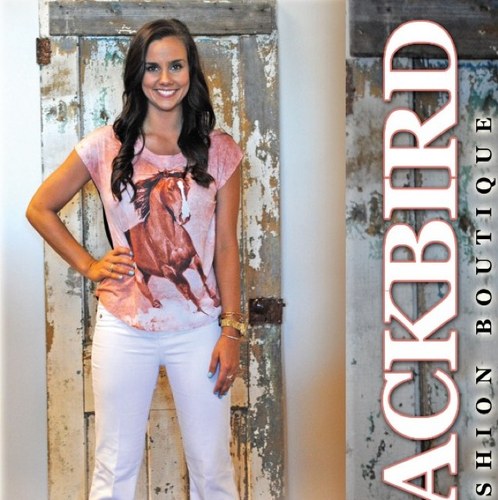 BlackbirdSearcy's profile picture. 