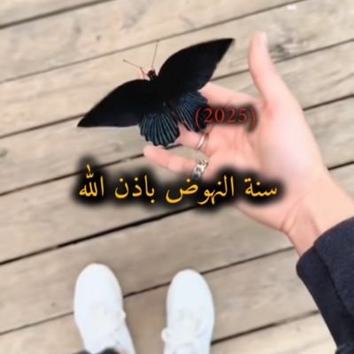مكتب ابدااع