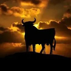 Oxford law graduate, state school, northerner. Stronger after cancer. Lived everywhere (Asia, Africa, US, UK, Europe) currently rural England & rural Spain.