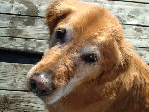 uwmy1's profile picture. Greater Seattle area...obviously a UW alum. One of the few native Washingtonians left. Geez this is weird with @georgeswineshop gone