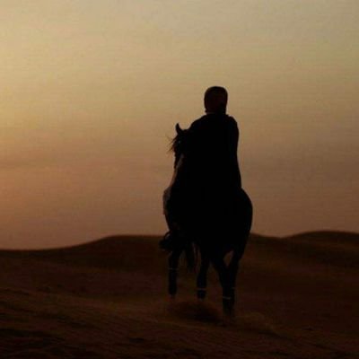 B52_f35's profile picture. 