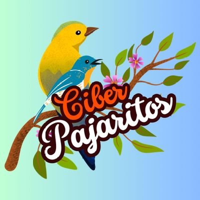 🏳️🌈Pagina Oficial Del Ciber Pajaritos En Villahermosa Tabasco🏳️🌈