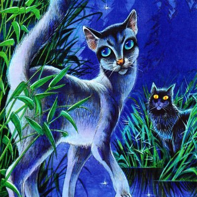 heawingspell's profile picture. warriors kibby!!!!