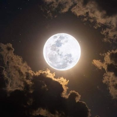 ROROAA394899's profile picture. 