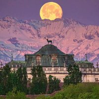 عـ ــلـ ـي لـ ـغويـ ـل (@algweel3) Twitter profile photo