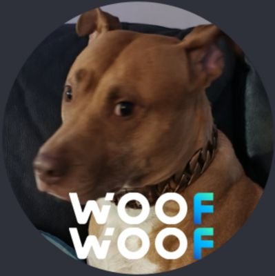 I don't WOOF I WOO FI
CA: 2FZzGtERg3RrB2SqvhQS5jhTKkQeftE9eFD9iBo1pump