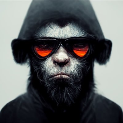 xk_kingz's profile picture. I write || I test protocols || I trade || WASP