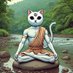 Thom Jefson (,,゚Д゚) (@mrbsatoshi) Twitter profile photo Thom Jefson (,,゚Д゚) (@mrbsatoshi) Twitter profile photo
