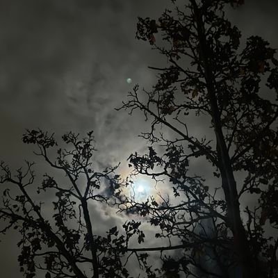 yahyasalihmc's profile picture. контент-менеджер