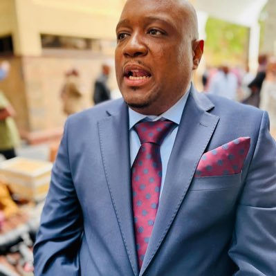 Former BNF YL spokesperson,former Secretary General of the BNF youth league,!Former Borakalalo ward councilor,MP for Molepolole North,BNF Treasurer