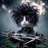 baj_van_baj_van's profile picture. 🎵🎶hééóóóóóó 🎼 húúúá🎵🎶
Járóképes sebesült. Hullámvasút. ♋♈ Provokatív. Nem árt. Véletlen. Néha kedves. Mikorhogy. Muszály. Mindíg.