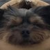 tarzaned (@tarzaned) Twitter profile photo tarzaned (@tarzaned) Twitter profile photo