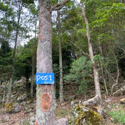 masmuuu69's profile picture. 