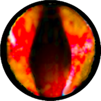 Shredfreak Games (@shredfreakgames) 's Twitter Profile Photo