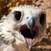 اكتوبر. (@g__es1) Twitter profile photo اكتوبر. (@g__es1) Twitter profile photo