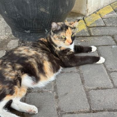 s aさんのプロフィール画像