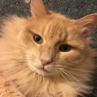 Bandit (@bandit1242929) 's Twitter Profile