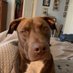 Brenda Stevens (@brendas19785763) Twitter profile photo Brenda Stevens (@brendas19785763) Twitter profile photo