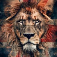 Britain's rights (@terminator67263) 's Twitter Profile