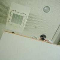 hinemo. (@huit_yoru) 's Twitter Profile Photo