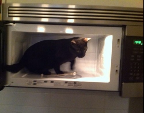 brookemrose's profile picture. 