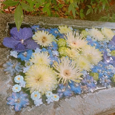 noyuki_nyoeeull's profile picture. 20↑ 情報収集垢(お取引率も高め) 主に🌕プロ。🍞さん。🏔️さん。お取引につきましては固定ツリーご一読推奨。迅速な対応、返信を心がけます。よろしくお願いします。