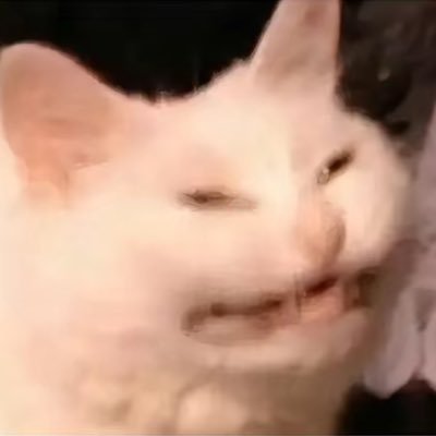 cy_Sylus_baby's profile picture. 人