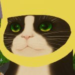 Tokey_ILiaXR (@tokeyxr) 's Twitter Profile