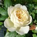 Salman N (@n1475840) Twitter profile photo Salman N (@n1475840) Twitter profile photo