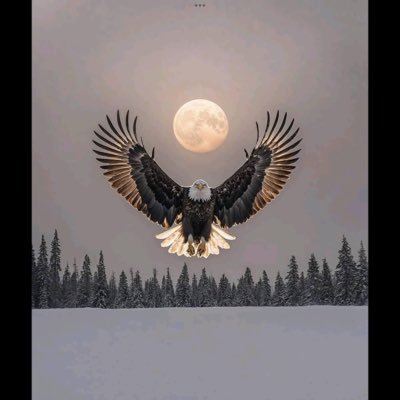 ChrisM1986a's profile picture. 