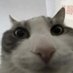 Beo (inactive) (@ropebunnybun) Twitter profile photo Beo (inactive) (@ropebunnybun) Twitter profile photo