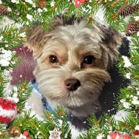 Laird Finnigan of Glencoe (@poetpooch) 's Twitter Profile