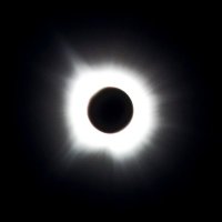 technovelist (@technovelist) Twitter profile photo