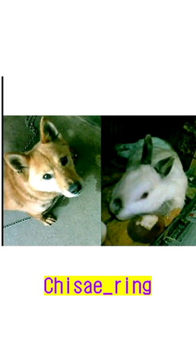 Chisae_ring's profile picture. 