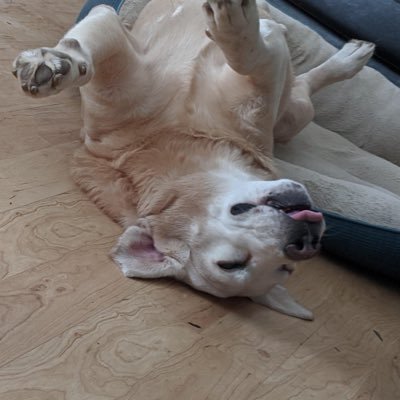 Ethansalgado2's profile picture. 