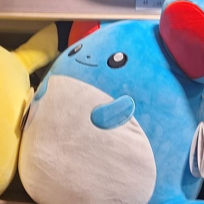 Lycorisvents's profile picture. main: @AKITOS_WIFE