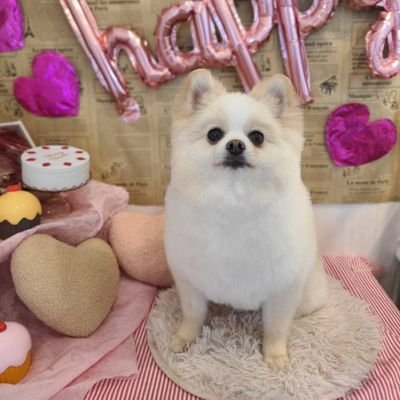 wlonz8vWtH0KGtb's profile picture. おもちの為に